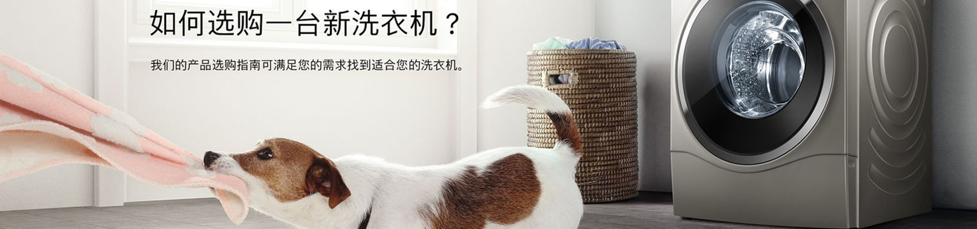栏目幻灯二
