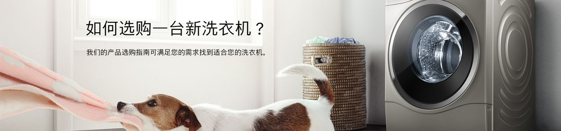 栏目幻灯一